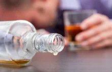 AlkyRecovery: najbardziej innowacyjna aplikacja dla alkoholików powstaje w...