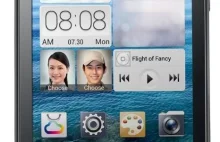 Ekran IPS, dwa rdzenie i Android Jelly Bean za 599 zł