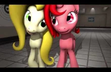 My Little Pony Moje Prace z [SFM] 2