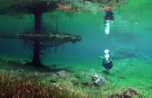 Piękny park, który spędza pół roku pod wodą