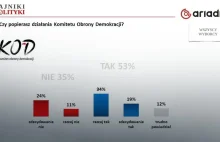 Sondaż: duże poparcie dla działań KOD