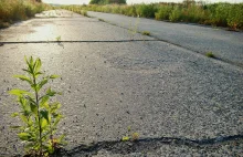 Autostrada z 1936 na Śląsku.