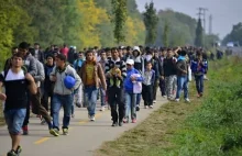 Austria rozważa wprowadzenie stanu wyjątkowego przez uchodźców