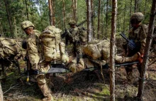 Wojskowi NATO: Polscy żołnierze wyglądają jak świnie, a przygotowanie...