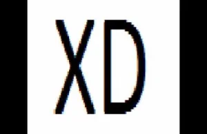"XD" młodzieżowym słowem roku 2017!