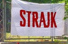 Polacy strajkują drugi dzień w Holandii