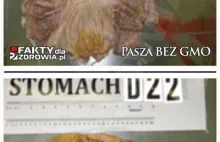 Szokujące zdjęcia pokazują spustoszenia dokonane przez żywność GMO!