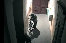 Nowe nagranie ze złodziejami rowerów