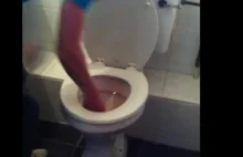 How To Unblock A Toilet