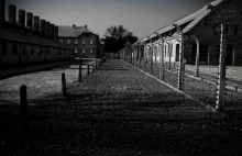 "Komsomolska Prawda": W Europie myślą, że Auschwitz wyzwoliły "Bękarty wojny"