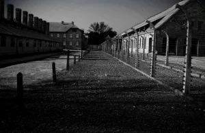 "Komsomolska Prawda": W Europie myślą, że Auschwitz wyzwoliły "Bękarty wojny"