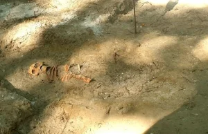Na Westerplatte odkryto szczątki kolejnych trzech osób