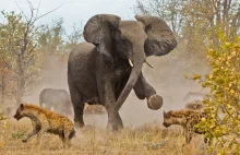 National Geographic Traveler Photo Contest 2013 - piękne zdjęcia z podróży