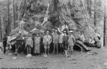 Drwale w 1940 wycinający drzewa w Północnej Kalifornii