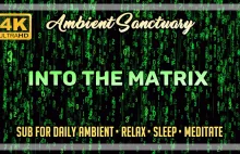 Into The Matrix | Ambience ASMR | 4K UHD | 2 hours