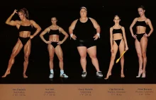 Porównanie budowy ciał poszczególnych sportowców.