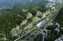 W Chinach ruszyła budowa Liuzhou Forest City samowystarczalnego, leśnego miasta