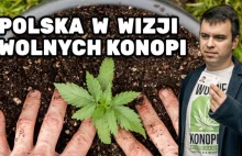 JADĘ DO NARKOKALIFATU | Andrzej Dołecki #NarkoWizje