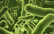 Bakterie oporne na antybiotyki ostatniej szansy zostały wykryte w USA!