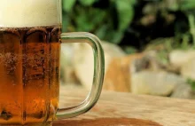 Piwo lepsze niż środki przeciwbólowe? Tak twierdzą naukowcy