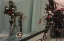 Robot uczy rozpoznawać się w lustrze