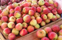 Białoruska firma wwiozła do Rosji polskie owoce. Zniszczono 58 ton jabłek