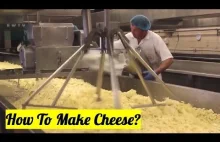 Jak zrobić ser? Odwiedź najlepszą szwajcarską fabrykę