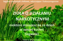 ZIOŁA O DZIAŁANIU NARKOTYCZNYM-NIE WIESZ ŻE NIEKTÓRE STOSUJESZ CODZIENNIE !