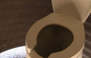 Podglądacz siedział pod sedesem w damskiej toalecie (wideo)