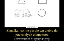 Zagadka: co nie pasuje wg ciebie do pozostałych elementów