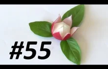 #55 Red radish nice flower / Ładny kwiatek z czerwonej rzodkiewki