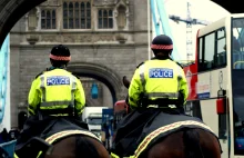 W ciągu dekady ilość aresztowań w Wielkiej Brytanii spadła o połowę