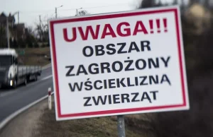 Wścieklizna w Szczecinie. Psy tylko na smyczy! - potrzebny wykop efekt!