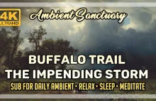 ️ Buffalo Trail - The Impending Storm | Live Painting | 4K UHD