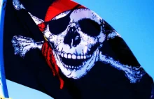 Nieprawdopodobny sukces Partii Piratów wwyborach w Berlinie