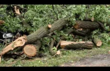 Microburst 15.06.2019 - powiat legnicki (Analiza obszaru,...