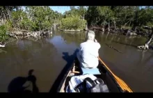Co przeżywa człowiek filmując aligatory z łódki?