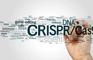 CRISPR zamiast antybiotyków?