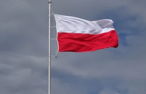 Czy spełnienie obietnic wyborczych może być dochodzone na drodze sądowej❓