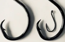 Symbol którego Jacinda Ardern użyła do poinf. o swej ciąży ma głębsze znaczenie