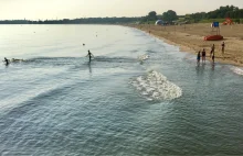 Plaża zamknięta, ale ludzie i tak się kąpią. "Nie ma flagi, więc można"