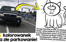 Obrazki dla kierowców, którzy parkują jak święte krowy