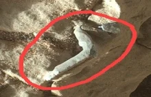 Łazik Curiosity mógł odkryć na Marsie skamieliny obcego życia!