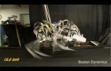 Najnowsza zabawka od Boston Dynamics biegnie z prędkością prawie 30 km/h