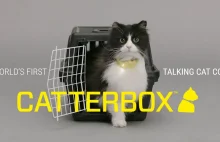 Catterbox - translator dla kotów