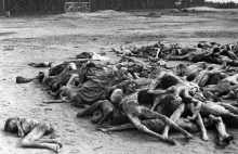 Holocaust - ofiary (galeria)