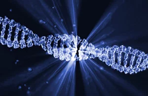 Polscy naukowcy z UJ opracowali superczułą metodę, wykrywającą uszkodzenia DNA