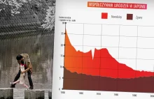 Na wykresie urodzeń w Japonii widać 'dziurę'.