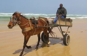 Jak wygląda Dakar, stolica Senegalu?