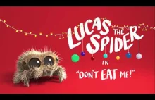 Lucas The Spider - Nie jedz mnie!